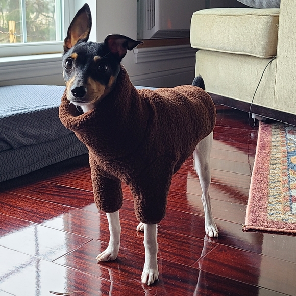 Meet your Posher, Tiff - Picture 12 of 16